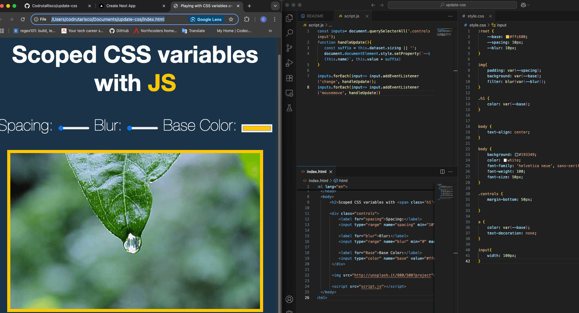 CSS Variables Project screenshot